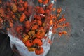 Miniature tomatoes for sale at outdoor market.