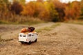 miniature toy car minivan carries on the roof yellow leaves, aco