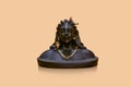 Miniature version of Adiyogi Shiva idol sitting on reflected background
