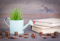 Miniature watering pot with fresh green spring grass and small change. Abstract background for business and development Royalty Free Stock Photo