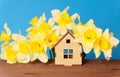 Miniature Wooden Cottage and Daffodil Bouquet on Blue