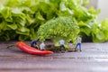 Miniature worker planting a broccoli tree