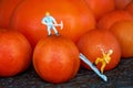 A Miniature Worker On Top Of A Cherry Tomato And Another Miniature Worker Climbing Up A Ladder