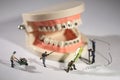 Miniature Workers Performing Dental Procedures. Dental Office Ar