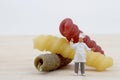 Miniatures of chef with pasta