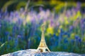 Miniaturized eiffel tower with lavander fields in background in day . french culture . Royalty Free Stock Photo