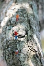 minifigure climber climbing on a tree trunk like rocks