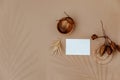 Minimal aesthetic background with blank card and dry floral branch on beige background.