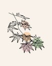 Minimal art of autumn leaves. Colorful details. Modern illustration.