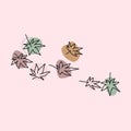 Minimal art of autumn leaves. Colorful details. Modern illustration.