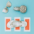 Minimal beach style. Silver set. Pineapple, sunglasses and flip-flops