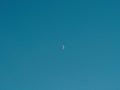 Minimal Blue Sky Background with Clean Gradient Atmosphere and Tiny Distant Bird in Calm Open Space Royalty Free Stock Photo
