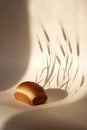 Minimal Bread Loaf With Wheat Shadow On Soft Light Background For Food Branding Royalty Free Stock Photo