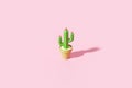 Minimal cactus plant pot flower on summer art background with tropical desert decoration. 3D rendering