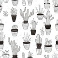 Minimal cactus and succulent seamless pattern background