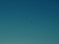 Minimal Blue Sky Background with Clean Gradient Atmosphere and Tiny Distant Bird in Calm Open Space Royalty Free Stock Photo