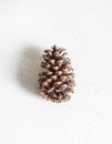 Minimal Christmas background - fir cone on grey textured background