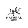 Minimal coffee bean with plant branch hipster logo vector with leaf simple line outline icon for cafe