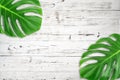 Minimal composition Flat lay green tropical leaf. Creative layout tropic leaves frame with copy space on white wood background.