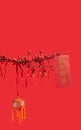 Minimal concept of Chinese new year celebration. Fresh branch with red berries and red threads silk lines tight up on it. Red