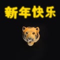 Chinese tiger zodiac new year with neon yellow signs above with Cantonese characters greeting \