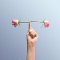 Minimal concept inspired by balance. Two buds roses balancing on the male index finger. Blue background with creative copy space