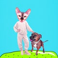 Minimal Contemporary collage art. .Funny characters dog and cat. Friendship relationship domination concept