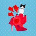 Minimal Contemporary collage art. Passion Kitty flamenco dancer. Trendy retro style