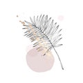 Minimal continuous line art palm leaf on geometric shapes, paint splatters, drips backgroud in pink rose blush colors