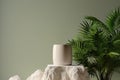 Minimal cosmetic background for product presentation. Cosmetic bottle podium and green leaf on gray color background. Royalty Free Stock Photo