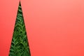 Minimal Creative Christmas Tree Made Of Thuja Royalty Free Stock Photo