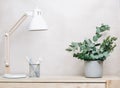 minimal decor scandinavian workspace with white lamp and cement vase with eucalyptus leaves branch. pens stationary