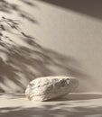Minimal Display Rock Stone For Show Product With Sunlight Tree Shadow On Cement Wall Abstract Background 3d Render Royalty Free Stock Photo