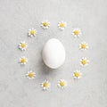 Minimal Easter Egg with Daisy Flower Circle Royalty Free Stock Photo