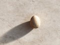 Minimal Easter egg with shadow Royalty Free Stock Photo