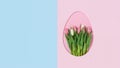 Minimal Easter Background with Tulips in Egg Shape on Pastel Pink and Blue with Copy Space Royalty Free Stock Photo