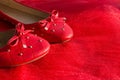 Minimal fashion concept. Red women shoes isolated on bright red cloth. Fashion concept, catwalk. Modern and fashionable Royalty Free Stock Photo