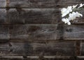 Minimal flat lay of genuine wood background with white orchids