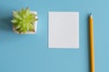 Minimal flat lay : notepad , pencil , cactus , on light blue pastel background , top view , work space. copy space Royalty Free Stock Photo