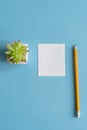 Minimal flat lay : notepad , pencil , cactus , on light blue pastel background , top view , work space. copy space. vertical photo