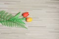 minimal flat lay springtime concept with colorful tulip on modern wood background and copy space Royalty Free Stock Photo