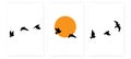 Flying birds silhouettes on sunset vector, Royalty Free Stock Photo