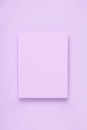 Minimal frame geometric composition mock up. Blank sheet of lilac paper postcard on delicate blue background. Template design