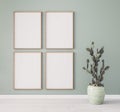 Minimal frame mock up design, succulent plant. four wooden frames on pastel green wall