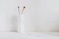 Minimal home decor. Dry poppy heads in a white vase on a white wooden table. Modern still life