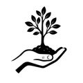 Hand holding small tree icon with soil and growth symbol Royalty Free Stock Photo