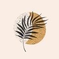 Minimal illustration of hand drawn textured moon, palm leaf silhouette for print Royalty Free Stock Photo