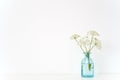 Minimal indoor interior. Transparent blue vase with Aegopodium bouquet on table on white background. Cute soft home