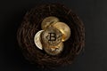 Minimal investing concept. Easter Gold Bitcoin coins in nest on black background Royalty Free Stock Photo