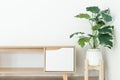 Minimal living room interior white table against white wall, Aesthetic minimal interior modern living room with tree Royalty Free Stock Photo